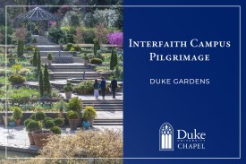 A promotional graphic for a Duke University Chapel event with a split design. The left side features a photograph of the tiered stone terraces and stairs at Duke Gardens, with lush greenery and people walking toward a wooden pergola at the top. The right side is a solid blue block with white text that reads "INTERFAITH CAMPUS PILGRIMAGE" and "DUKE GARDENS" above the Duke University Chapel logo.